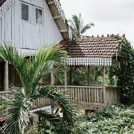 The Rice Joglo Eco-Stay-3